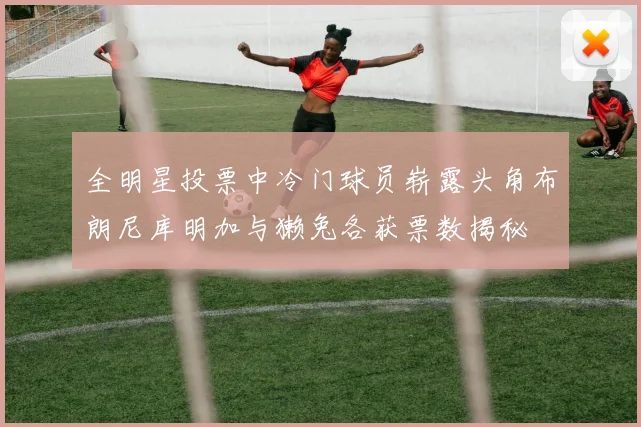 全明星投票中冷门球员崭露头角布朗尼库明加与獭兔各获票数揭秘