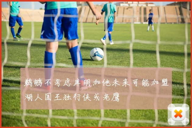 鹈鹕不考虑库明加他未来可能加盟湖人国王独行侠或老鹰